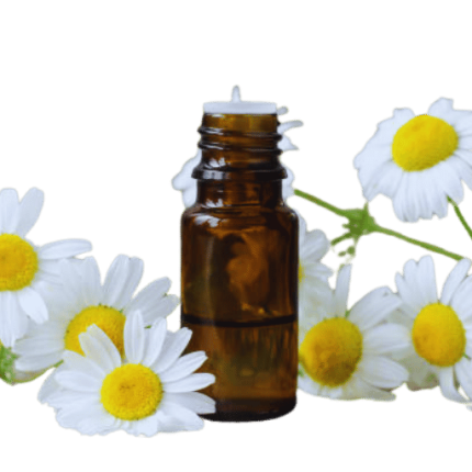 Chamomile Oil